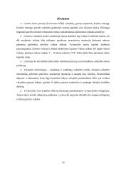 Valstybės skola: priežastys ir pasekmės 19 puslapis