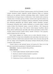 Valstybės skola: priežastys ir pasekmės 3 puslapis