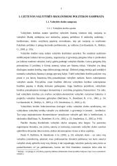Valstybės skolinimosi politiką realizuojančios priemonės 4 puslapis