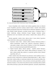 Valstybės skolinimosi politiką realizuojančios priemonės 8 puslapis