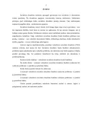 Valstybinio socialinio draudimo biudžeto sudarymas ir vykdymas 2 puslapis