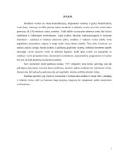 Valstybinis smulkaus ir vidutinio verslo reguliavimas 2 puslapis