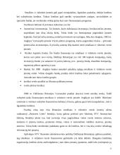 Valstybinis smulkaus ir vidutinio verslo reguliavimas 11 puslapis