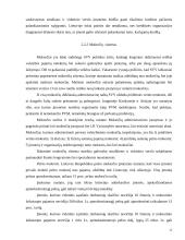 Valstybinis smulkaus ir vidutinio verslo reguliavimas 12 puslapis