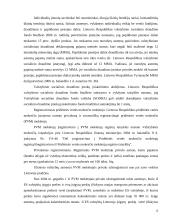 Valstybinis smulkaus ir vidutinio verslo reguliavimas 15 puslapis