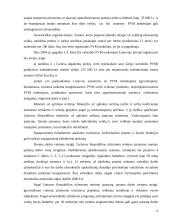 Valstybinis smulkaus ir vidutinio verslo reguliavimas 16 puslapis