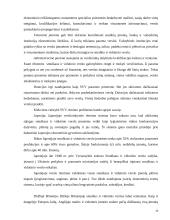 Valstybinis smulkaus ir vidutinio verslo reguliavimas 20 puslapis