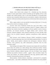 Valstybinis smulkaus ir vidutinio verslo reguliavimas 3 puslapis