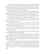 Valstybinis smulkaus ir vidutinio verslo reguliavimas 7 puslapis