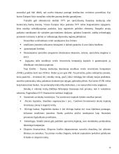 Valstybinis smulkaus ir vidutinio verslo reguliavimas 10 puslapis