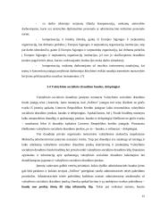 Valstybinis socialinis draudimas (VSD) Lietuvoje  15 puslapis