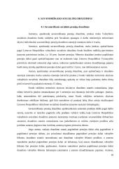 Valstybinis socialinis draudimas (VSD) Lietuvoje  17 puslapis