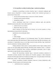 Valstybinis socialinis draudimas (VSD) Lietuvoje  19 puslapis