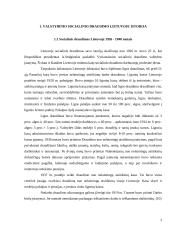 Valstybinis socialinis draudimas (VSD) Lietuvoje  3 puslapis