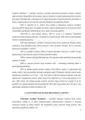 Valstybinis socialinis draudimas (VSD) Lietuvoje  5 puslapis