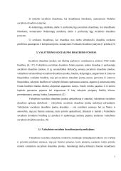 Valstybinis socialinis draudimas (VSD) Lietuvoje  7 puslapis
