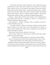 Variklis 6ČN 40/46 2 puslapis
