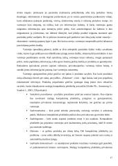Vartotojų jautrumas 17 puslapis