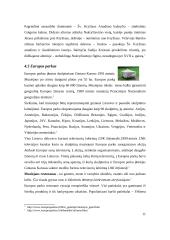 Vasaros savaitgalio maršrutas po Vilnių 11 puslapis