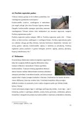 Vasaros savaitgalio maršrutas po Vilnių 13 puslapis
