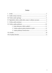 Veiklos audito apžvalga ir problemos Lietuvoje 2 puslapis