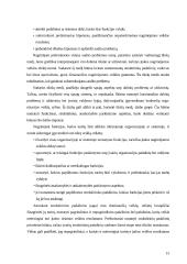 Veiklos audito apžvalga ir problemos Lietuvoje 14 puslapis