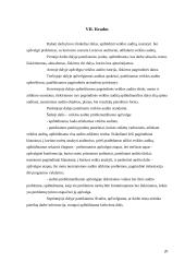 Veiklos audito apžvalga ir problemos Lietuvoje 19 puslapis