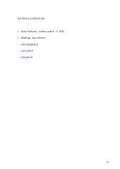 Veiklos audito apžvalga ir problemos Lietuvoje 20 puslapis