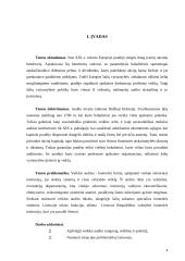 Veiklos audito apžvalga ir problemos Lietuvoje 3 puslapis