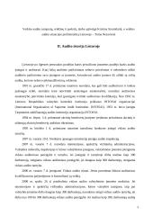 Veiklos audito apžvalga ir problemos Lietuvoje 4 puslapis