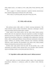 Veiklos audito apžvalga ir problemos Lietuvoje 5 puslapis