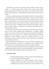 Veiklos audito apžvalga ir problemos Lietuvoje 6 puslapis