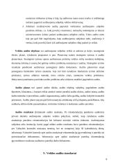 Veiklos audito apžvalga ir problemos Lietuvoje 7 puslapis