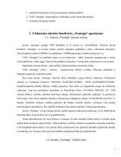Veiklos rezultatų ir juos įtakojančių veiksnių analizė: UAB "Nautega" 3 puslapis