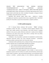 Verslas – verslui e-komercija 12 puslapis