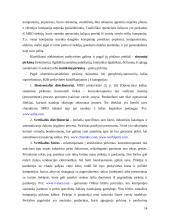 Verslas – verslui e-komercija 14 puslapis
