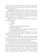 Verslas – verslui e-komercija 15 puslapis