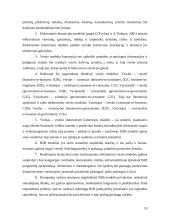 Verslas – verslui e-komercija 19 puslapis