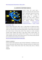 Verslas ir ekonomika naujoje Europoje. Europos Sąjungos (ES) ekonominė politika 13 puslapis