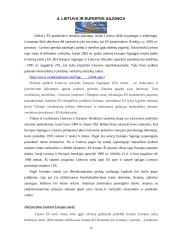 Verslas ir ekonomika naujoje Europoje. Europos Sąjungos (ES) ekonominė politika 16 puslapis
