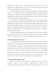 Verslas ir ekonomika naujoje Europoje. Europos Sąjungos (ES) ekonominė politika 18 puslapis