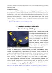 Verslas ir ekonomika naujoje Europoje. Europos Sąjungos (ES) ekonominė politika 19 puslapis