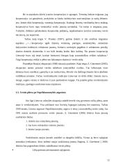 Verslininkystės raida Lietuvoje bei šiandieninis jaunimo verslumo skatinimas 11 puslapis