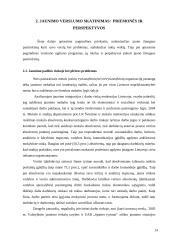 Verslininkystės raida Lietuvoje bei šiandieninis jaunimo verslumo skatinimas 13 puslapis
