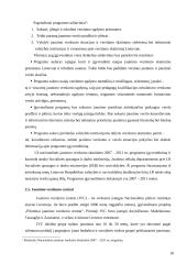 Verslininkystės raida Lietuvoje bei šiandieninis jaunimo verslumo skatinimas 17 puslapis