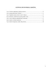 Verslininkystės raida Lietuvoje bei šiandieninis jaunimo verslumo skatinimas 3 puslapis