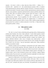Verslo aplinkos prognozavimas: AB "Alita" 10 puslapis