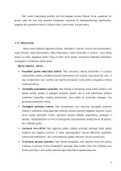 Verslo aplinkos prognozavimas: UAB "Avon Cosmetics" 5 puslapis