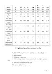 UAB „Verknė“ pelningumas 13 puslapis