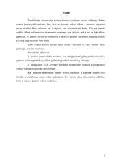 UAB „Verknė“ pelningumas 3 puslapis